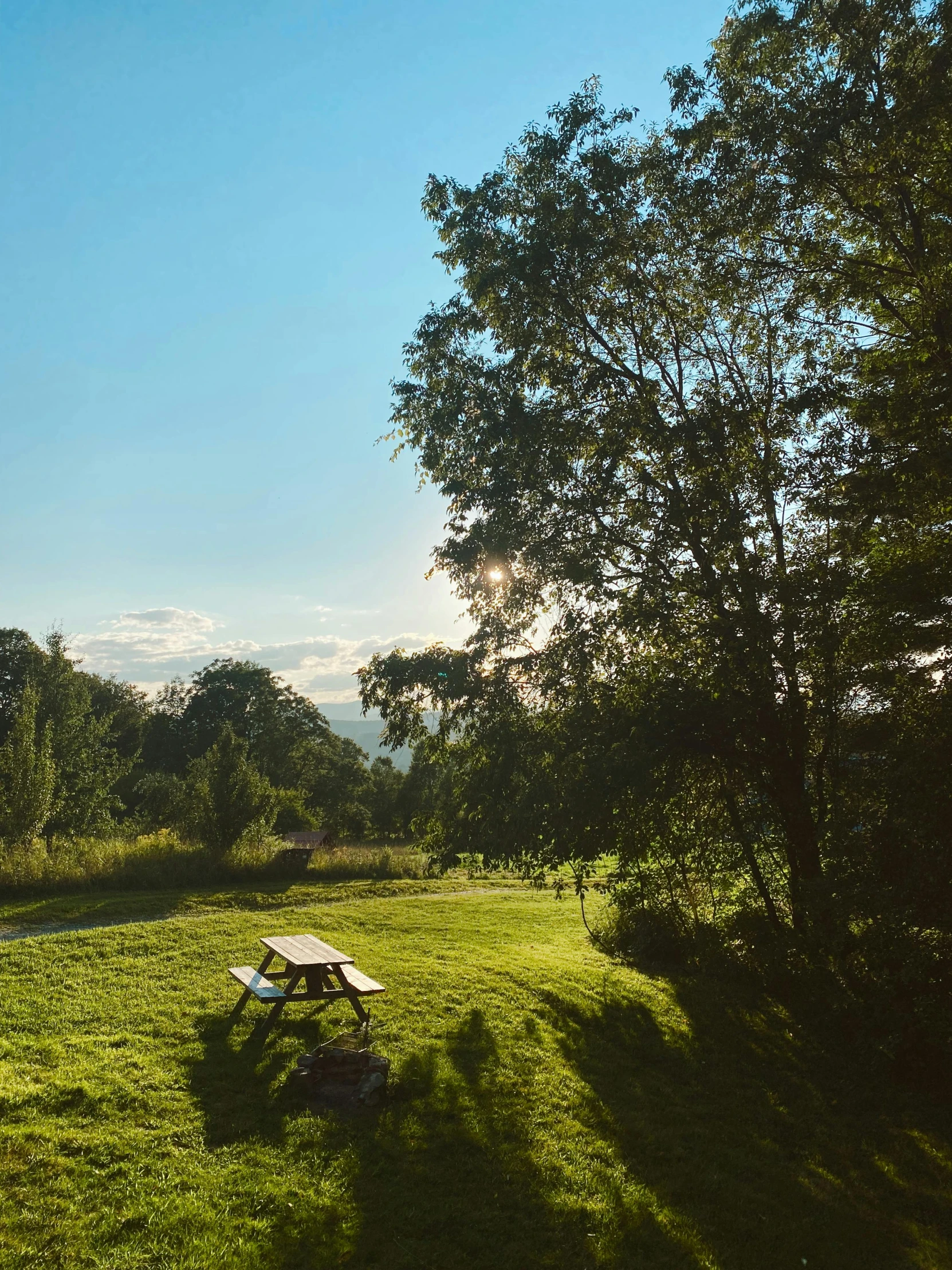 picnic table with umbrella set up near trees in field