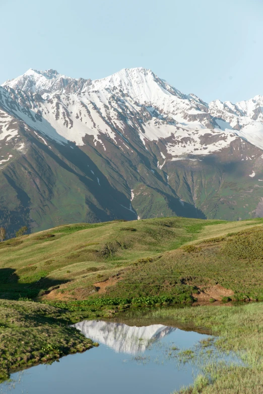 mountains covered with snow rise above a small stream