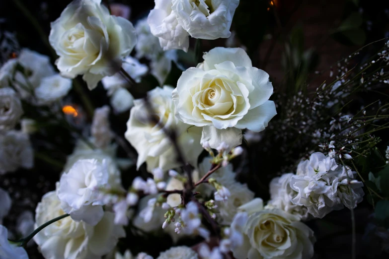 close up view of white flowers in a vase