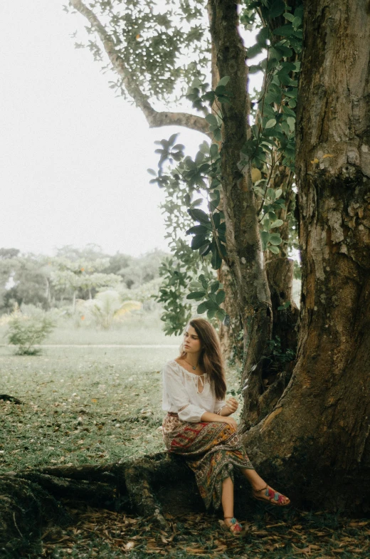 a beautiful young woman sitting under a tree in the shade