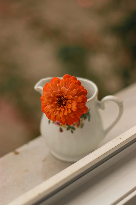 a flower is sitting in a small vase