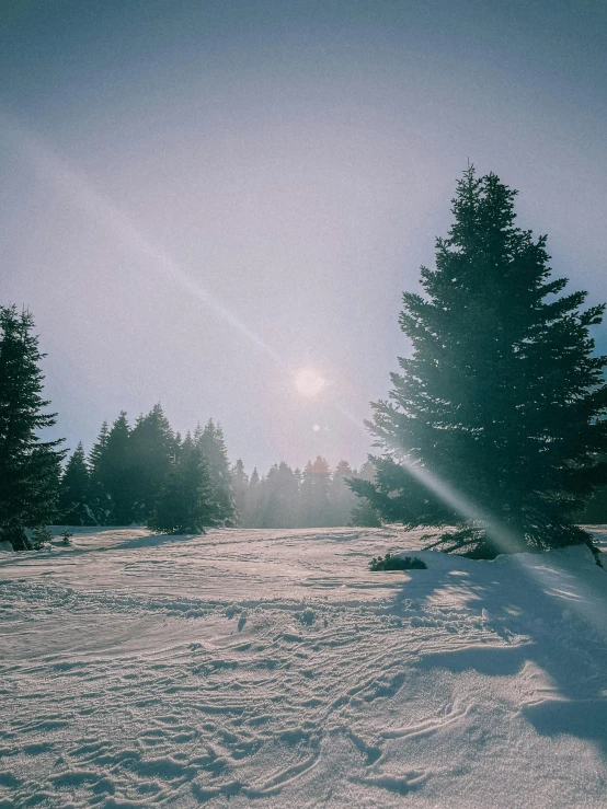 the sun is peeking over a snowy field