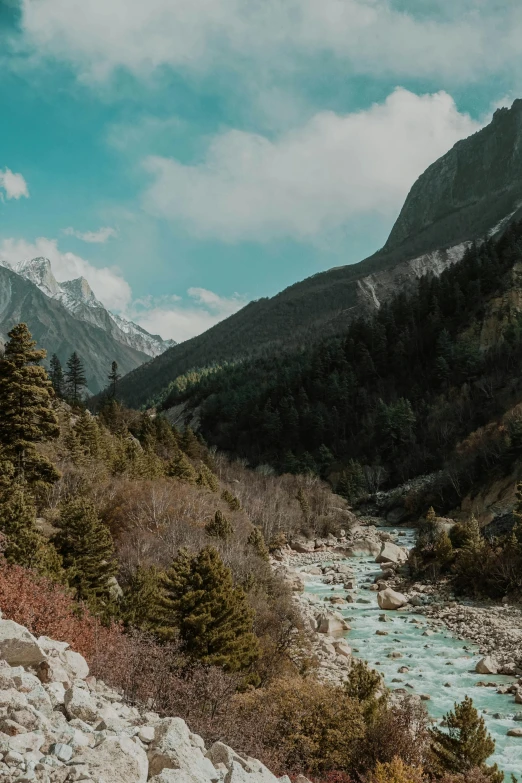 a mountain river running through a forest filled valley