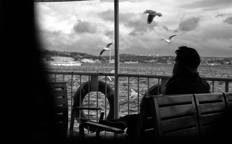 a person sitting on a bench with a seagull flying in the background