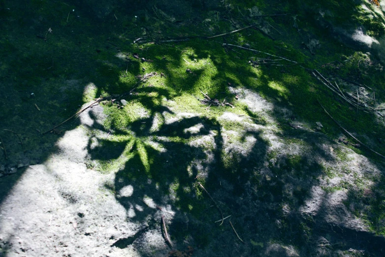 a bench on the ground is casting a shadow