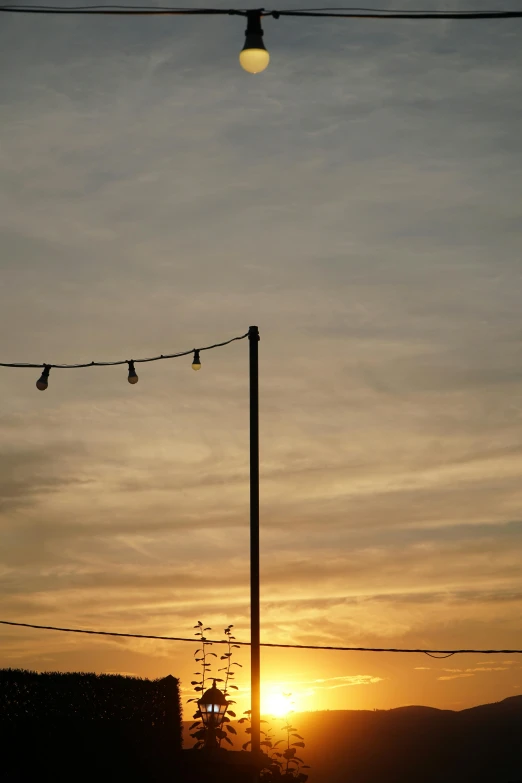 sun behind wires and trees with the sky in the background