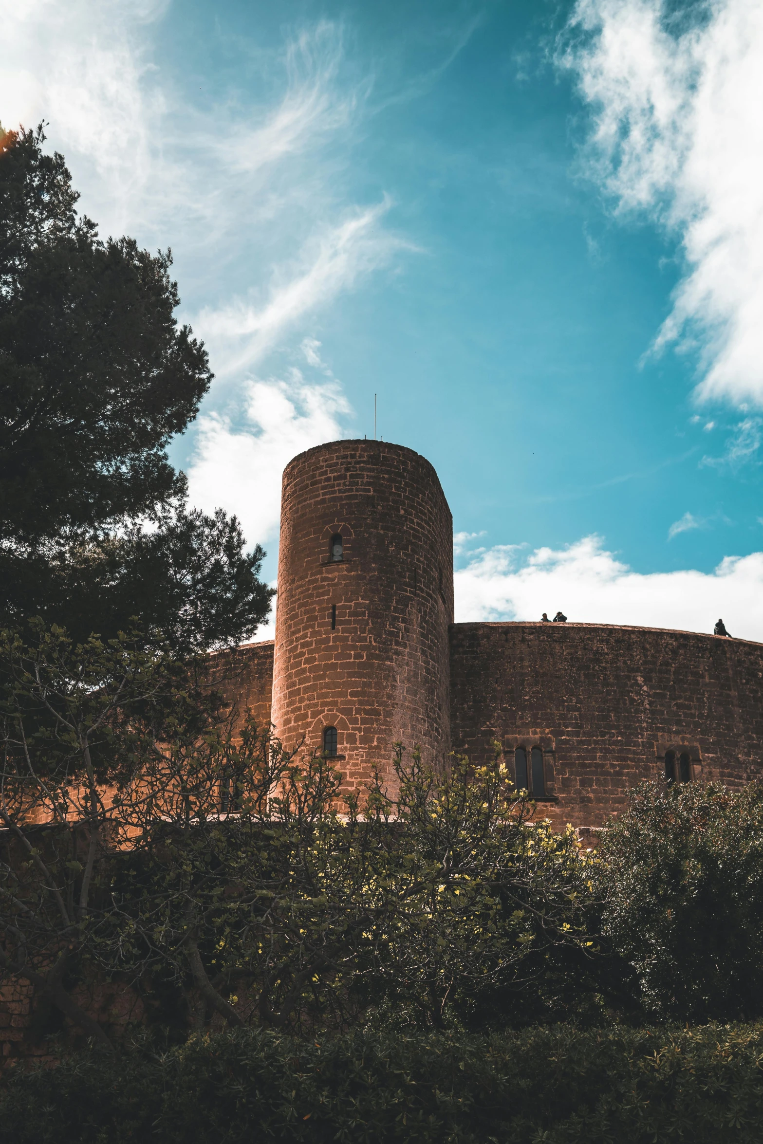 a castle structure that sits on a hill above the tree's