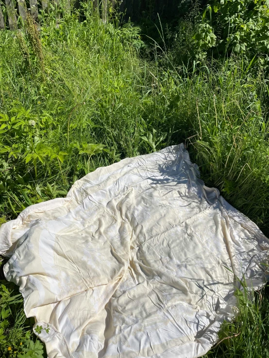 an empty sheet in a grassy yard area