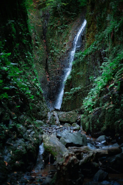 there is a waterfall in the distance in the forest