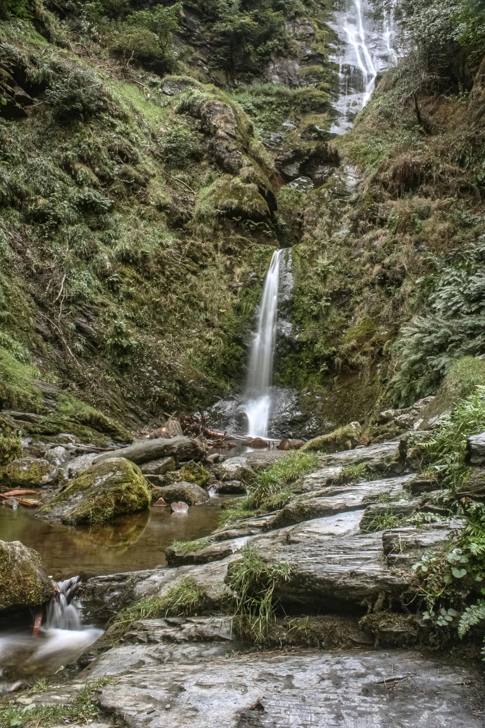 waterfall flowing into water surrounded by green jungle