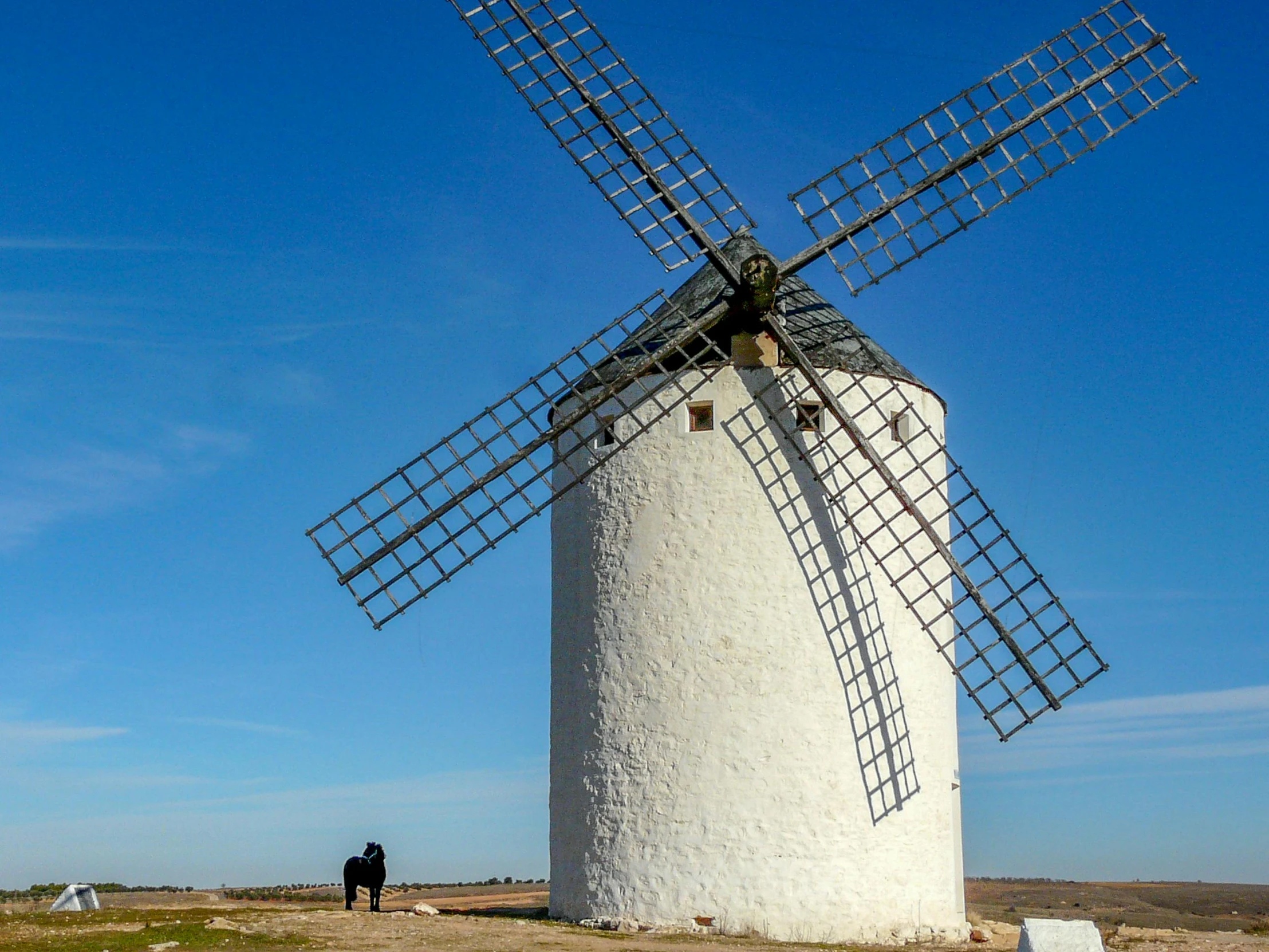 a white windmill sitting on top of a field next to a forest