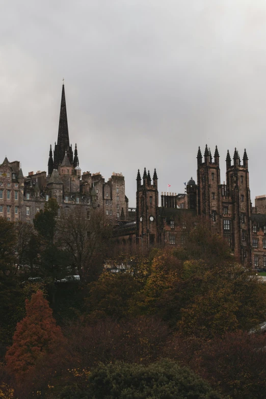 the view of an old city from the park