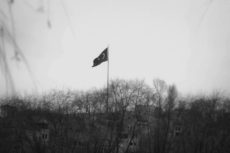 a black and white po of a black and white flag