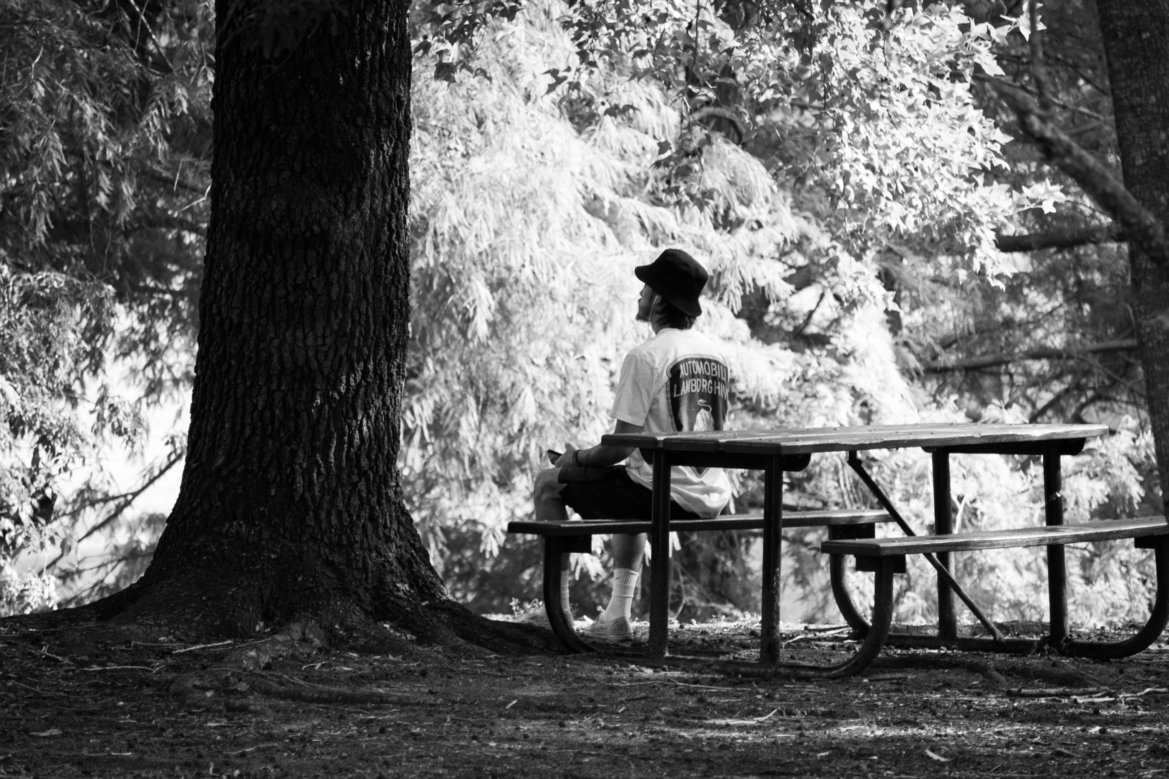 the person is sitting at the table near the tree