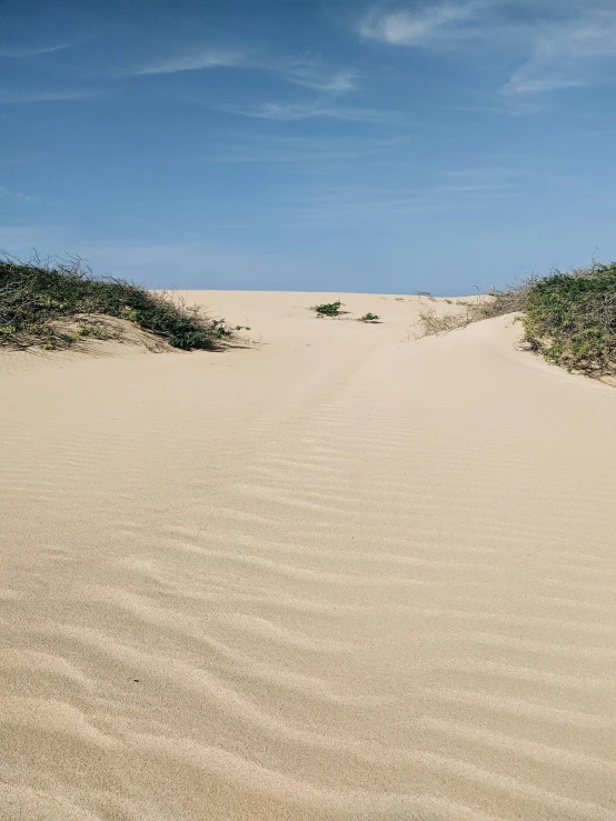 the sand looks almost bare but is still sandy