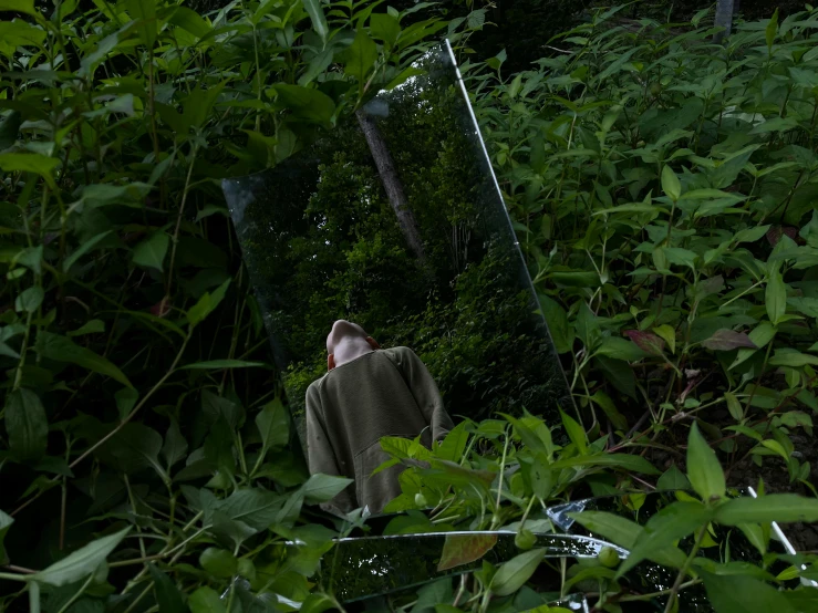 a mirror sitting in the middle of a forest filled with lush green trees