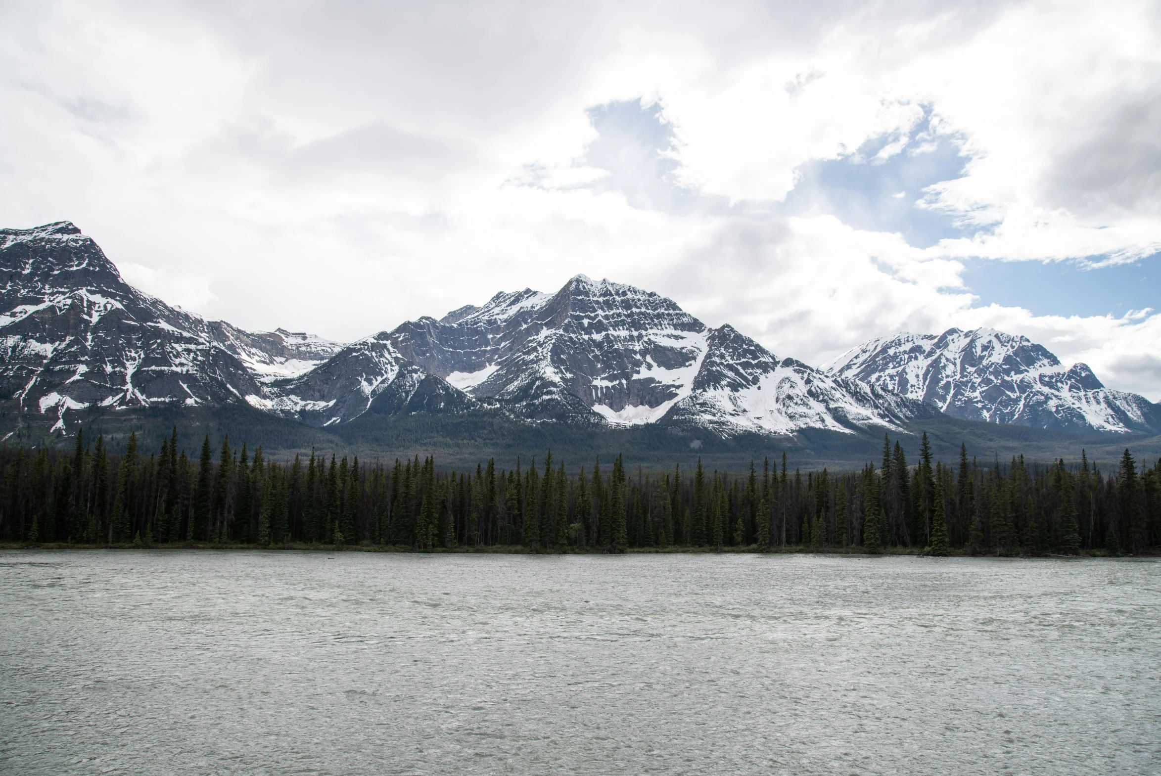 trees are in the foreground of a large snowy mountain