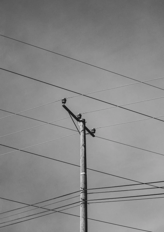 a tall wooden pole under electrical lines in black and white