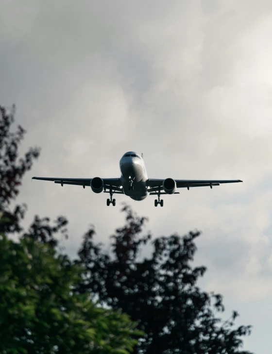 the large plane is flying by over the tree tops