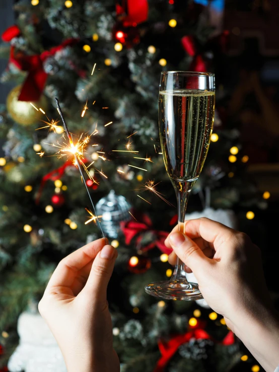 someone holds a champagne flute up in front of a christmas tree