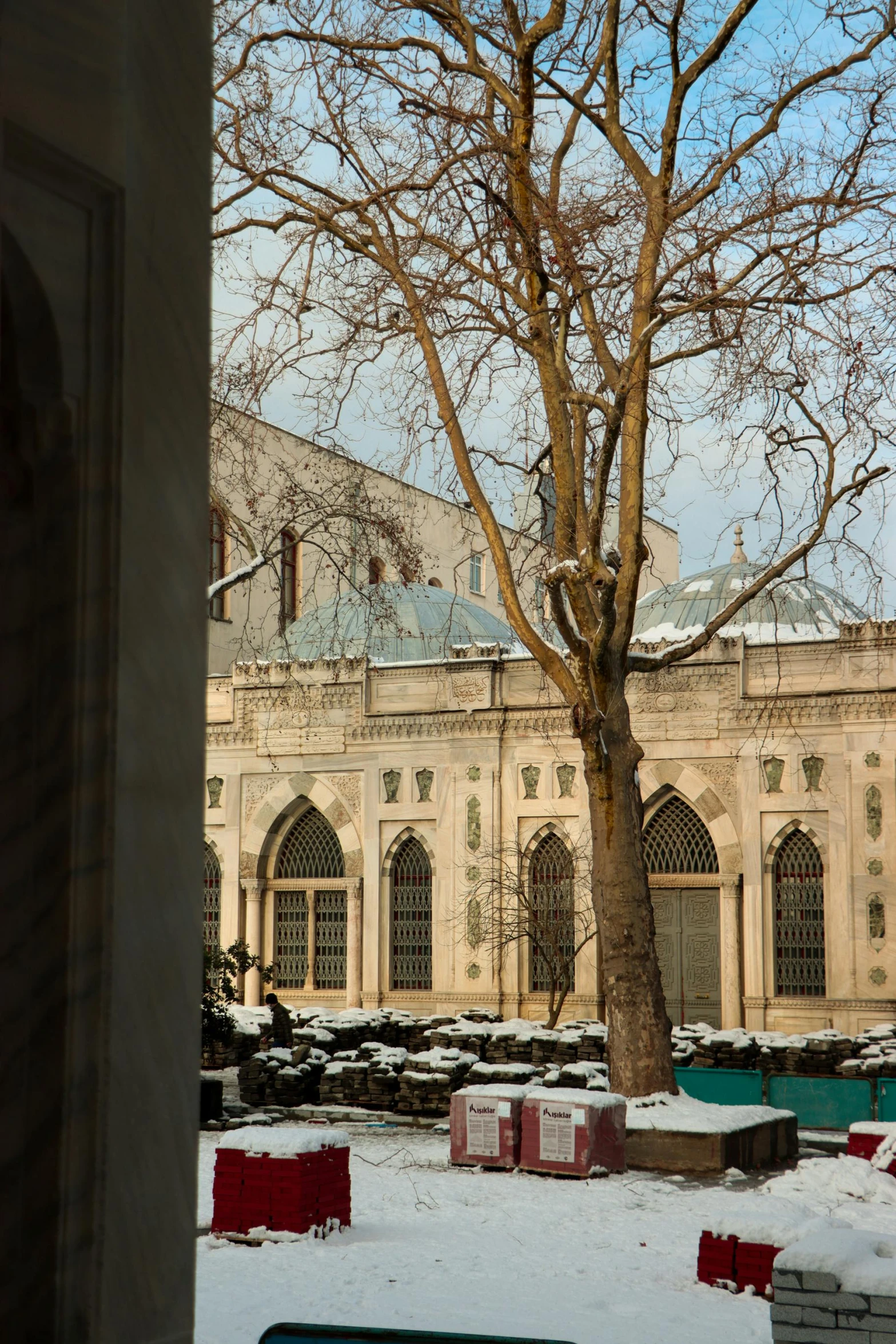 trees are covered in snow in the courtyard