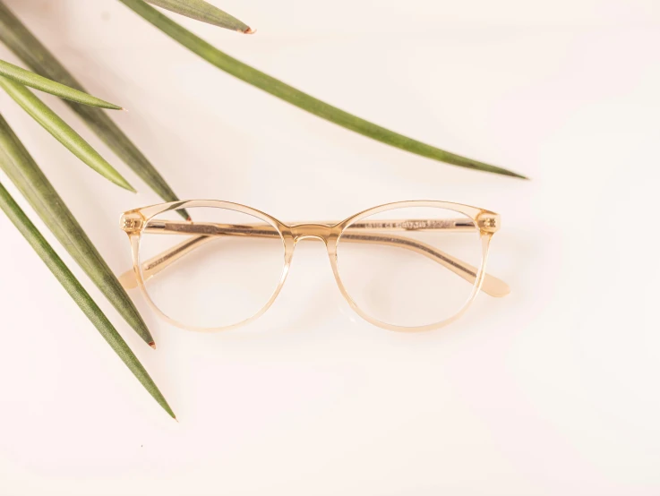 an eyeglass next to green leaves on a white table