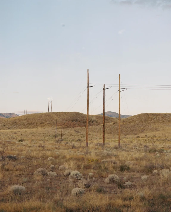 three telephone poles stand in the middle of an empty field