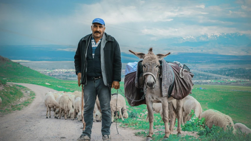 a man is standing in front of a herd of animals