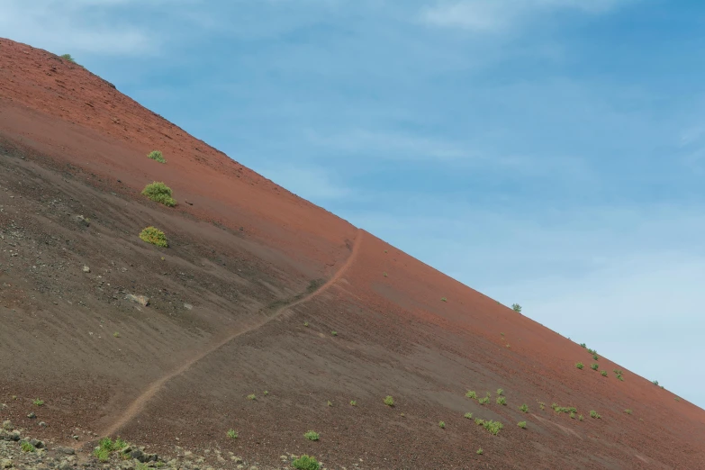 a cow sitting on top of a hill