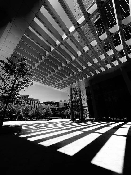 a sunlit walkway is shown in black and white