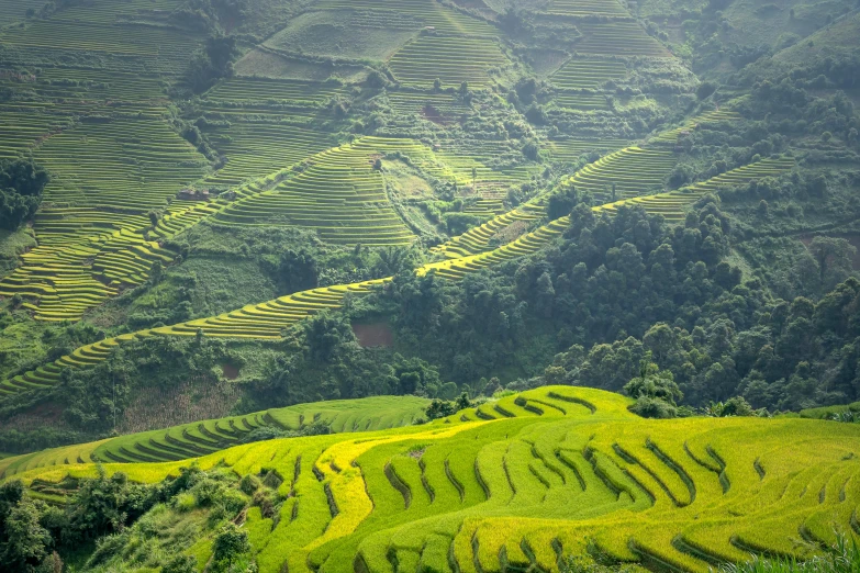 a mountain with many terraces in the distance