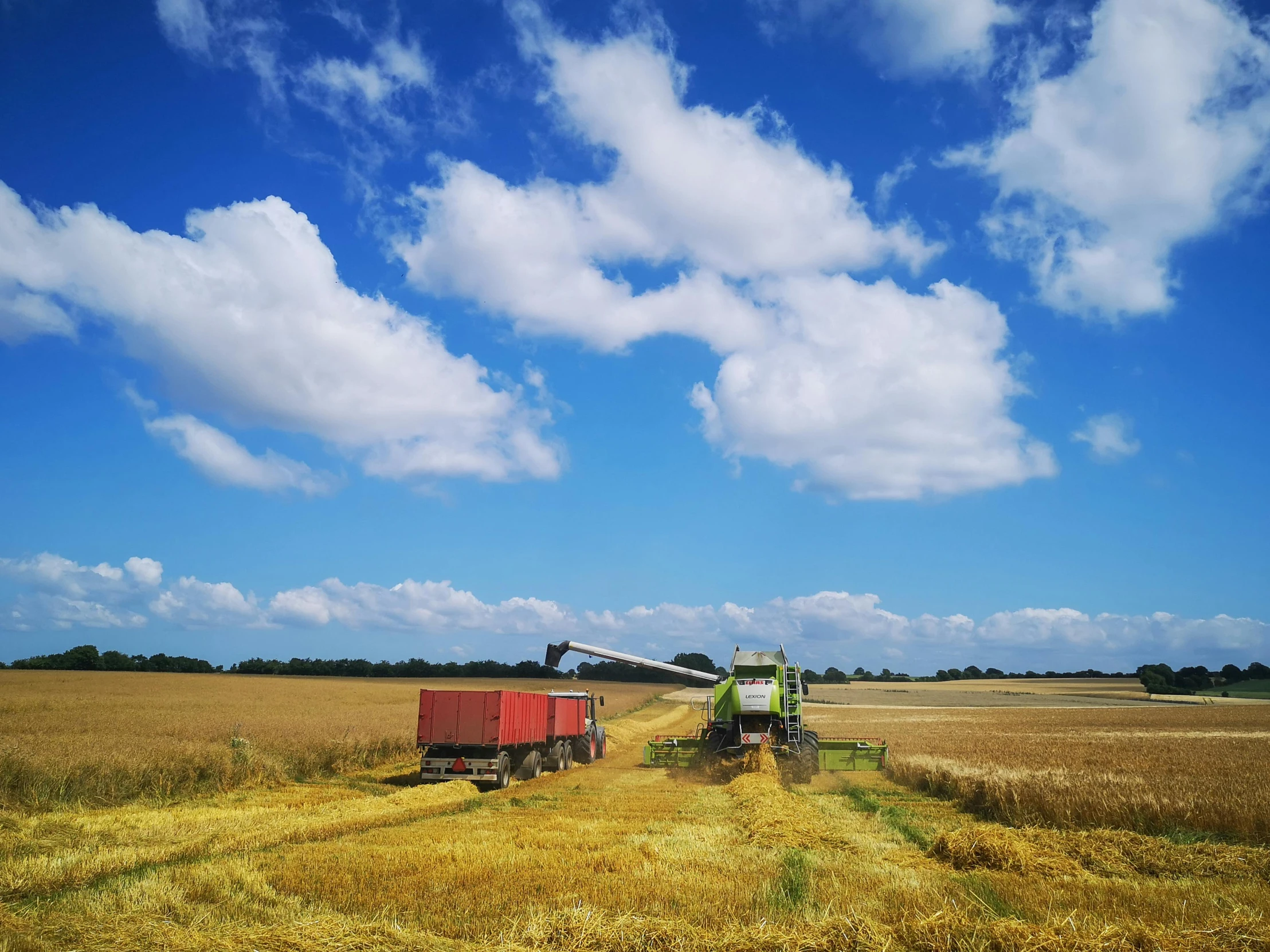 harvesting in the prairie with one big trailer