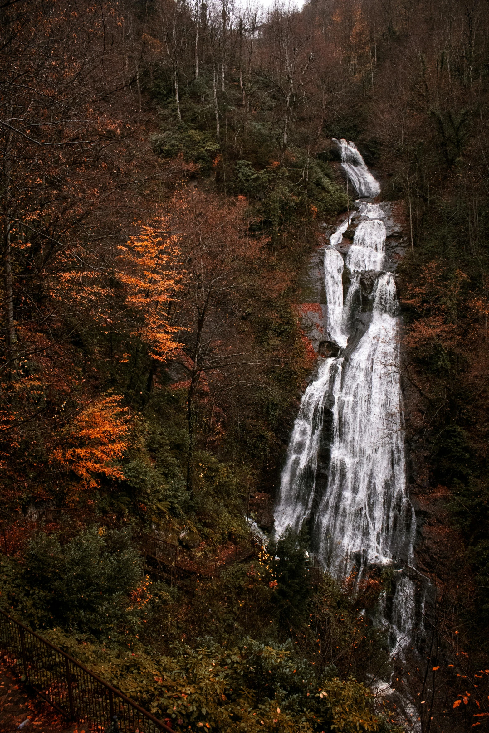 the waterfall is white in color with trees surrounding it