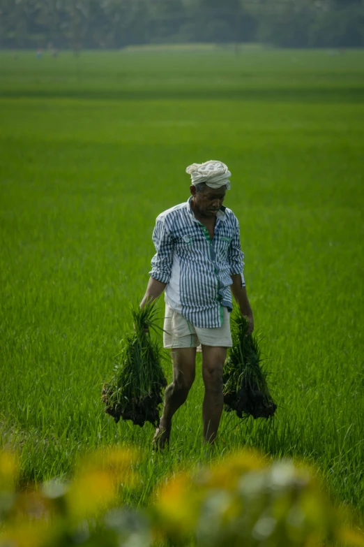 an old man walking in a field carrying two bundles of grass