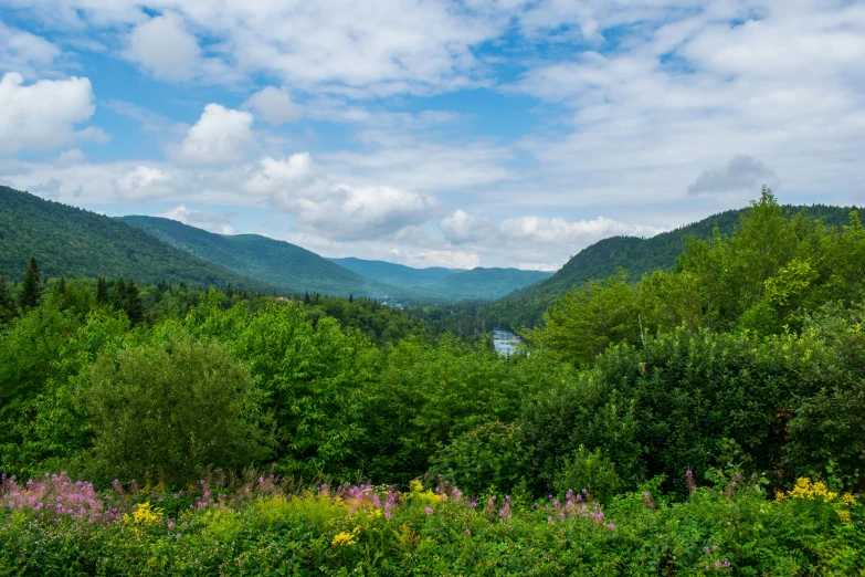 there is a bench overlooking the mountain water