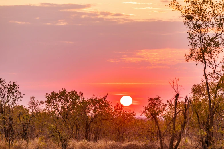 the sun is setting behind a grassy area