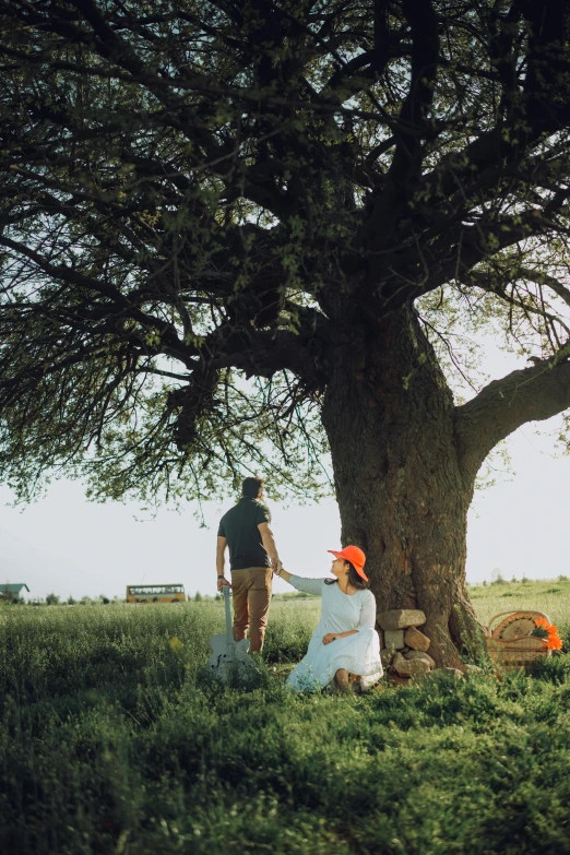 two people sit on a bench beneath a tree