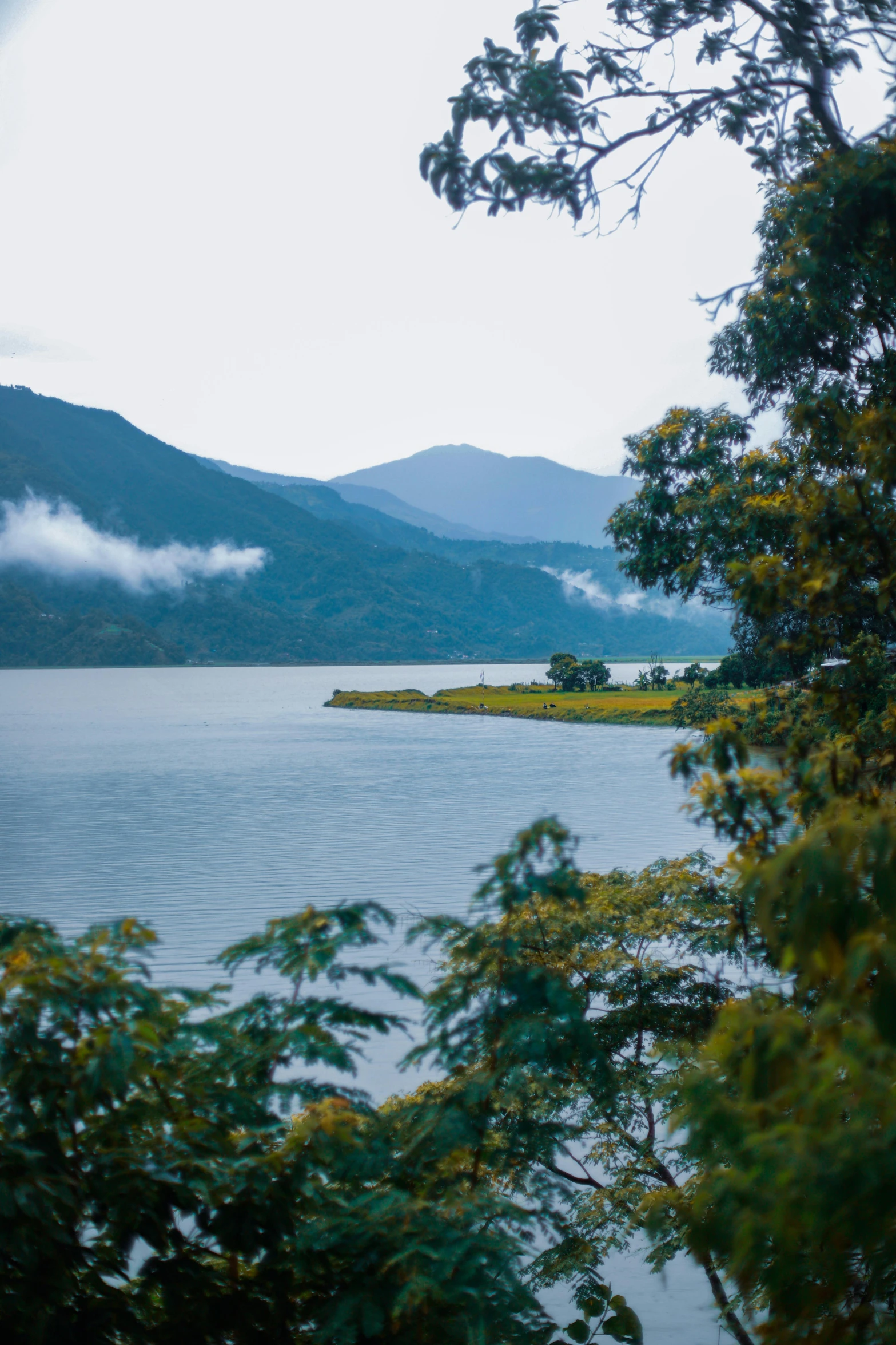 the island has pine trees in front of it