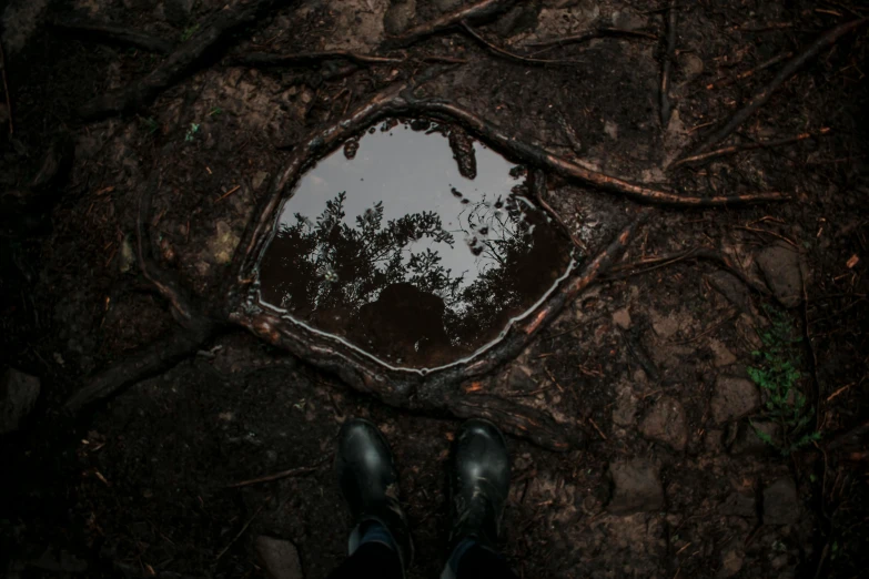 some water and bare trees with a man standing next to it