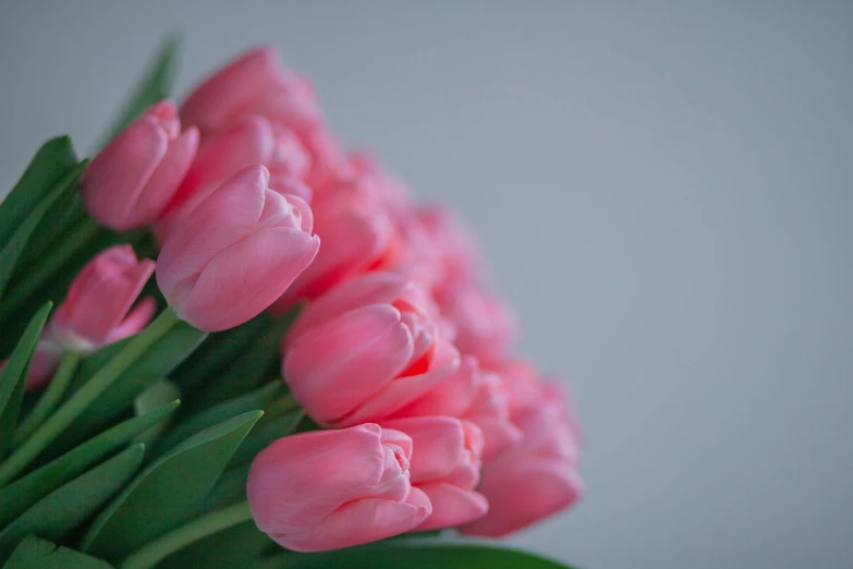 a bunch of pink tulips are in a vase