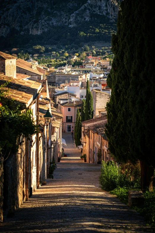 the back view of buildings in a very nice neighborhood