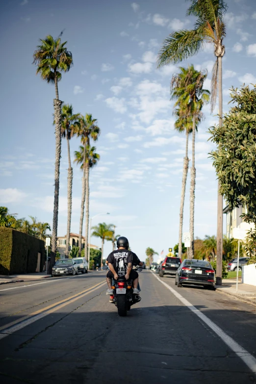 a person riding a motorcycle down a street with palm trees