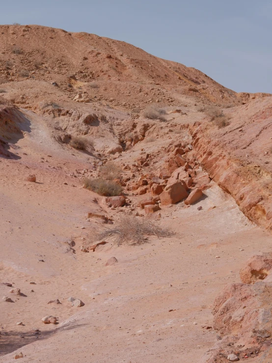 two horses walking down a dusty dirt hill