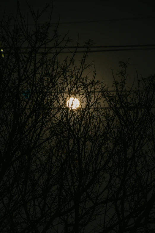 night with the moon and streetlight glowing in the dark