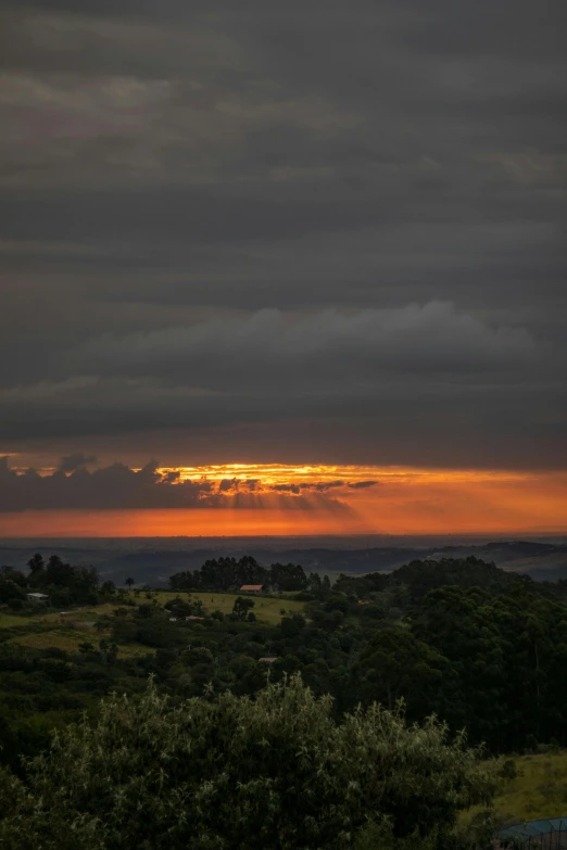 the sun is setting over a lush green field