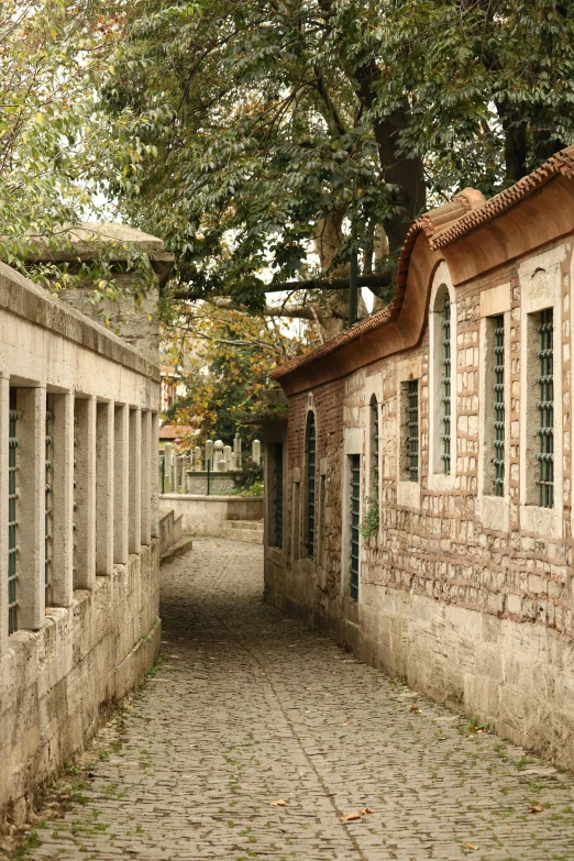 a narrow brick walkway leads to brick buildings