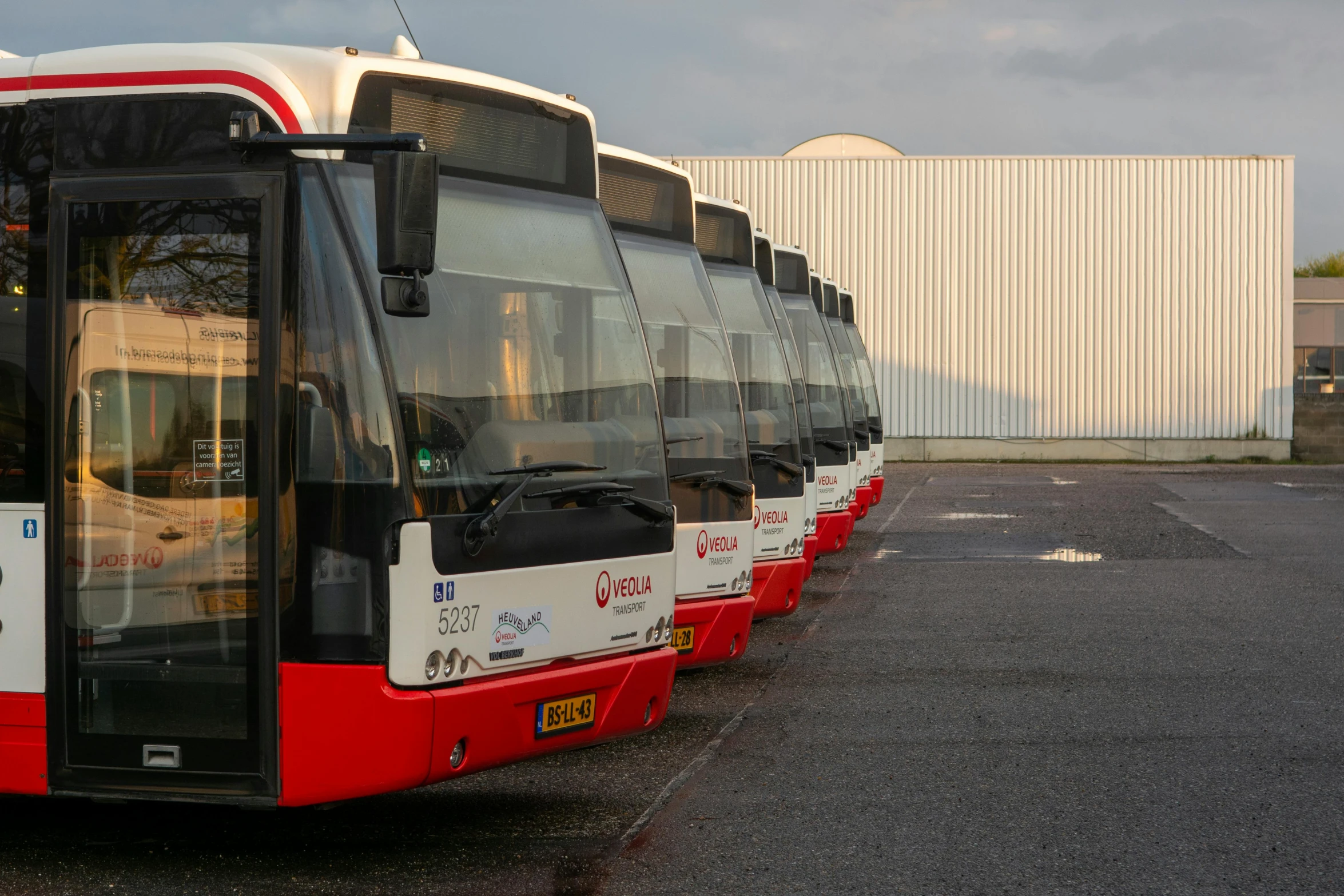 a long line of buses in a parking lot