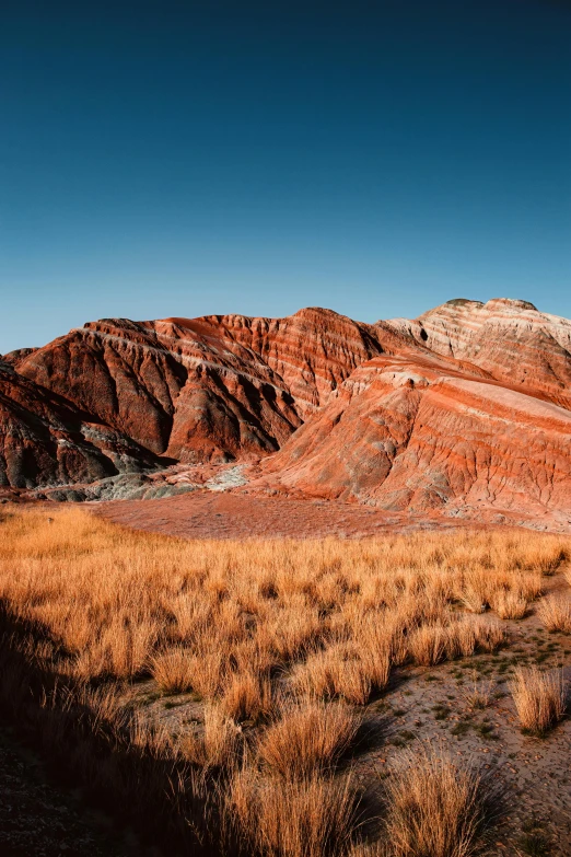 a group of mountains that are covered in yellow grass