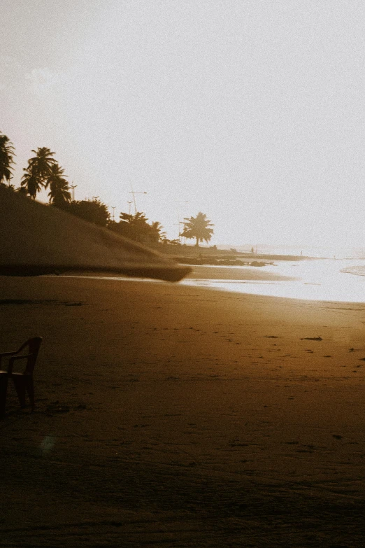 two people walking on beach near trees and water