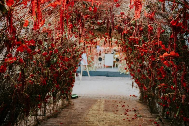 a walkway with some red flowers on the trees